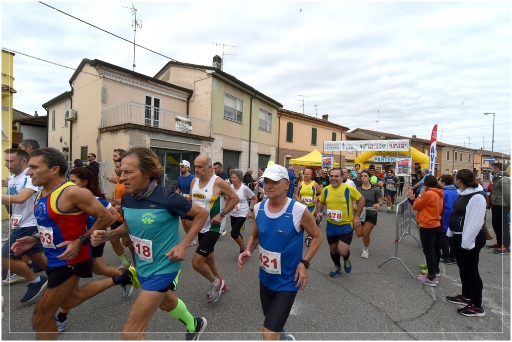 San Pancrazio: Trofeo dell'Uva - 13 ottobre 2024